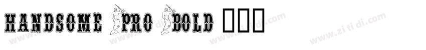handsome Pro Bold字体转换